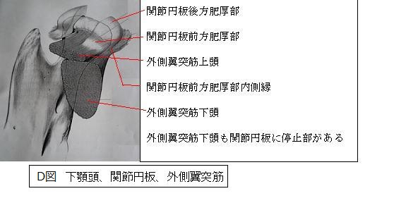 下顎頭